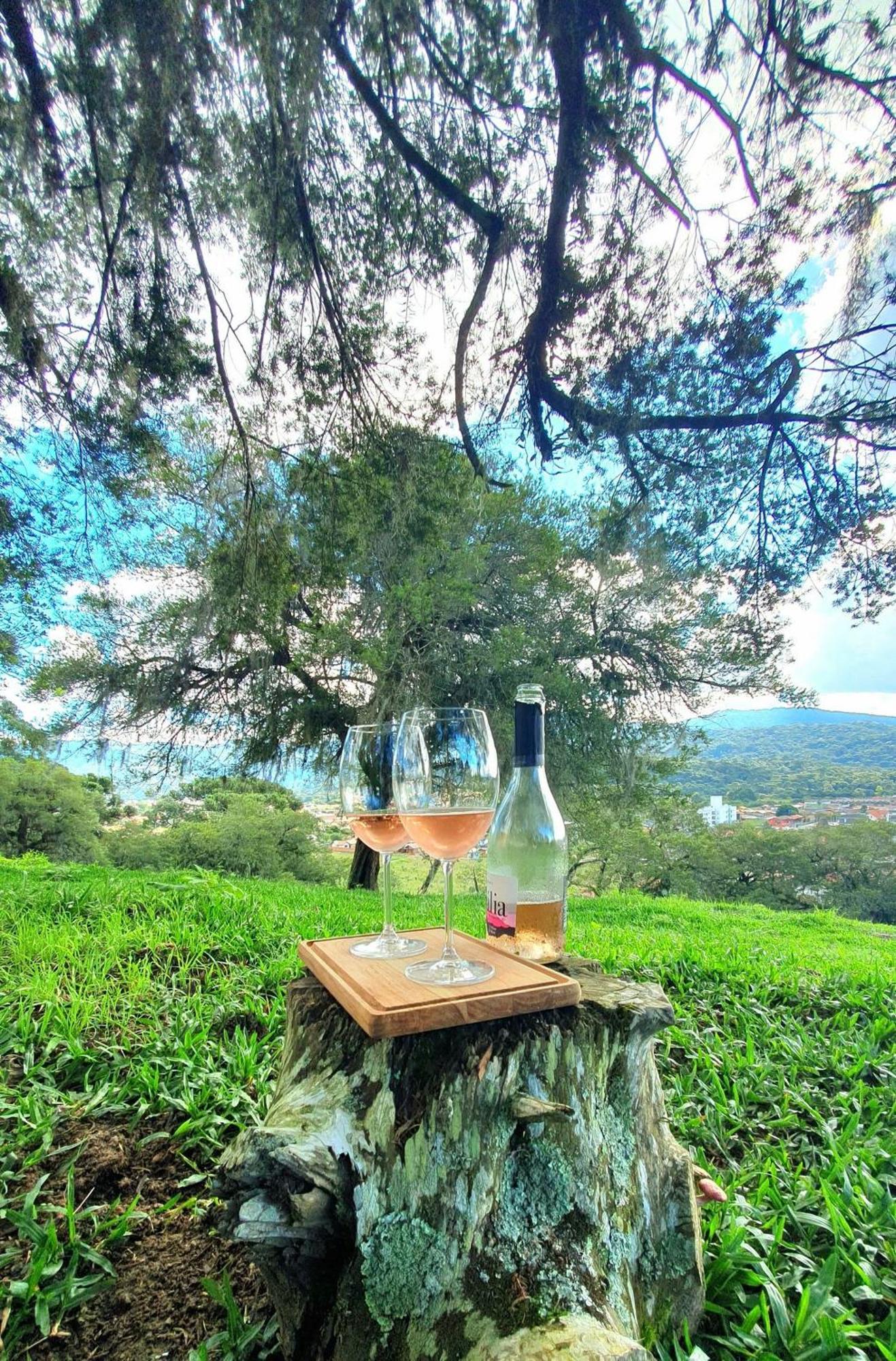 Cabana Canto Lindo - Urubici-Sc Exteriér fotografie