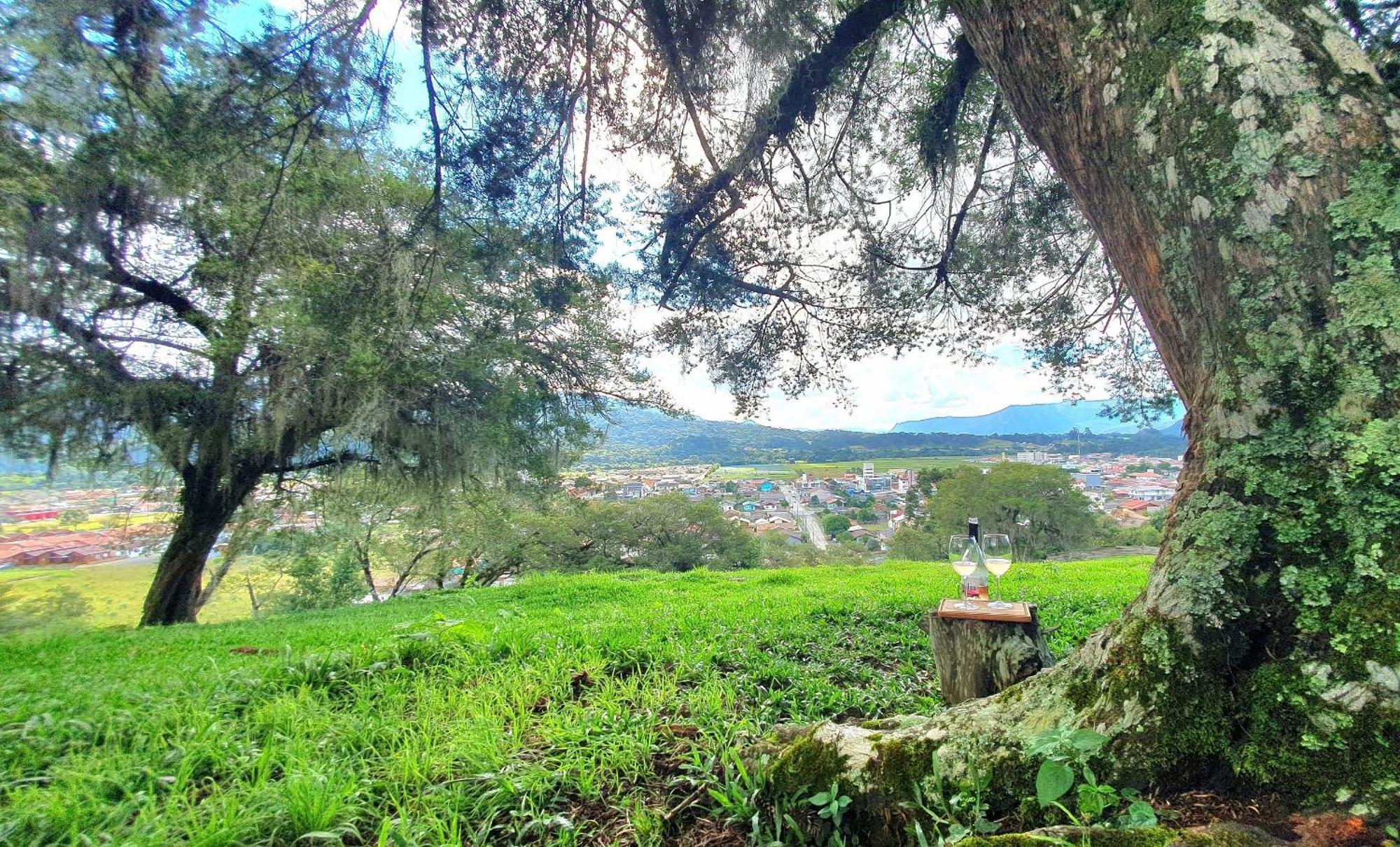 Cabana Canto Lindo - Urubici-Sc Exteriér fotografie